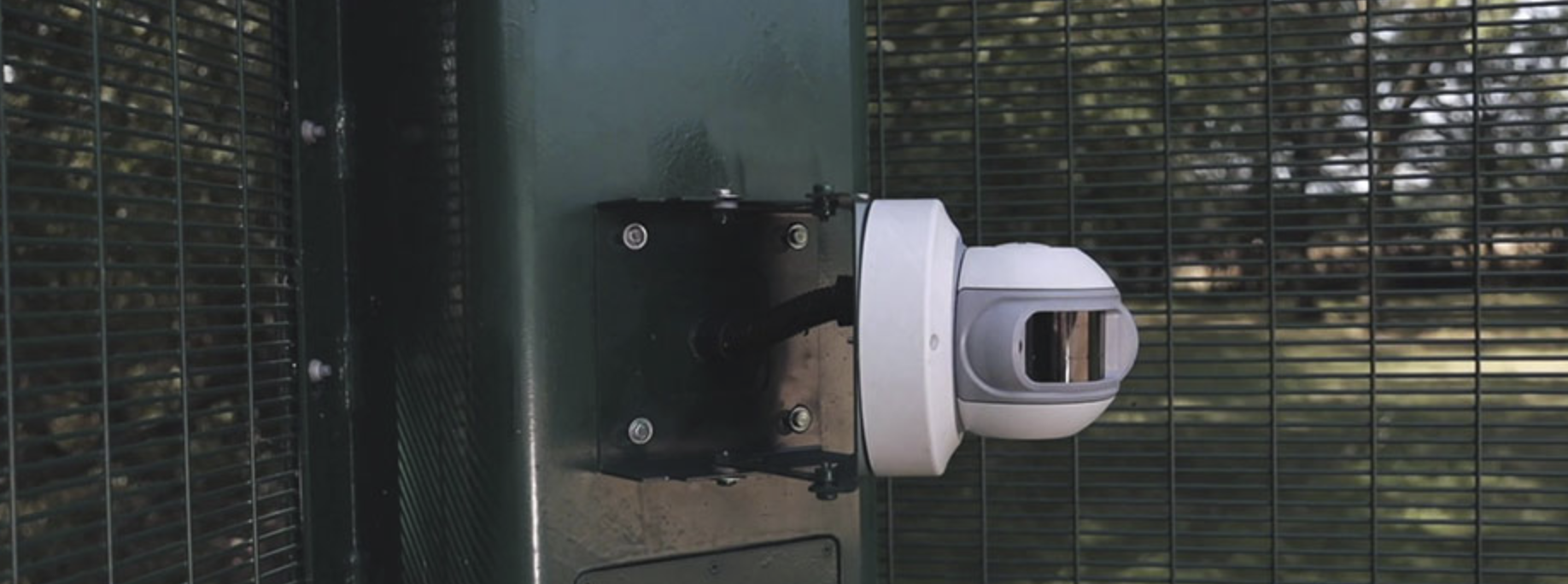 High Security intruder detector sensors